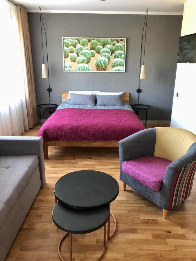 Kaktuss Apartamenti Smiltene Kültér fotó