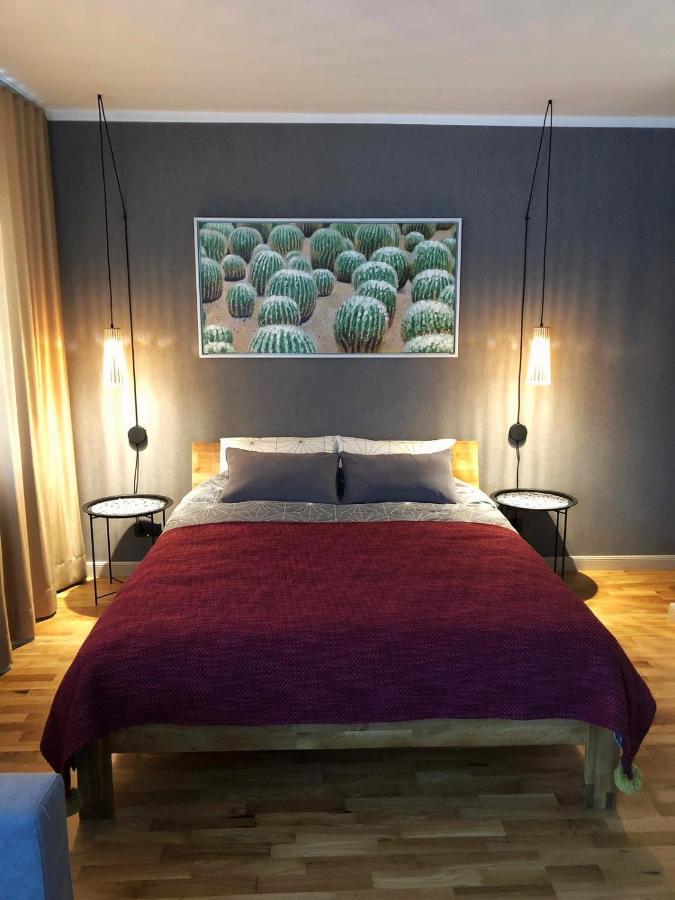 Kaktuss Apartamenti Smiltene Kültér fotó