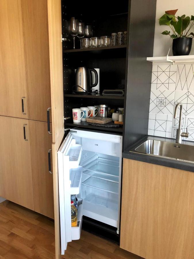 Kaktuss Apartamenti Smiltene Kültér fotó